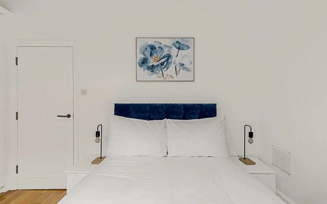 Contemporary Oasis in Paddington II