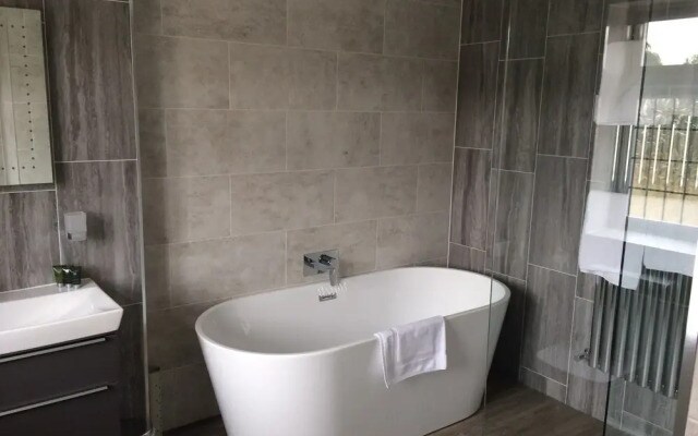 The White Swan