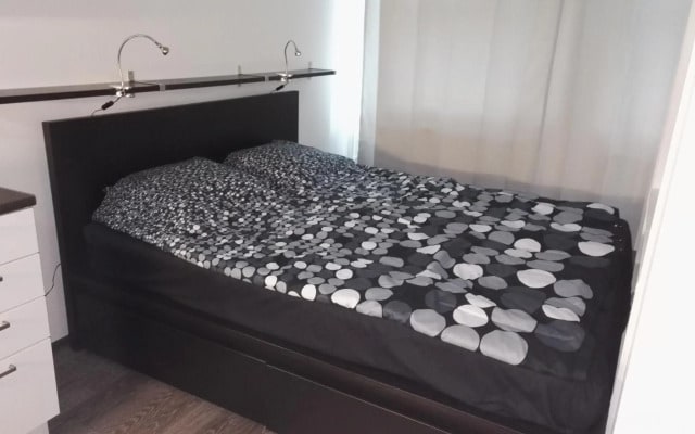 Apartment Satama