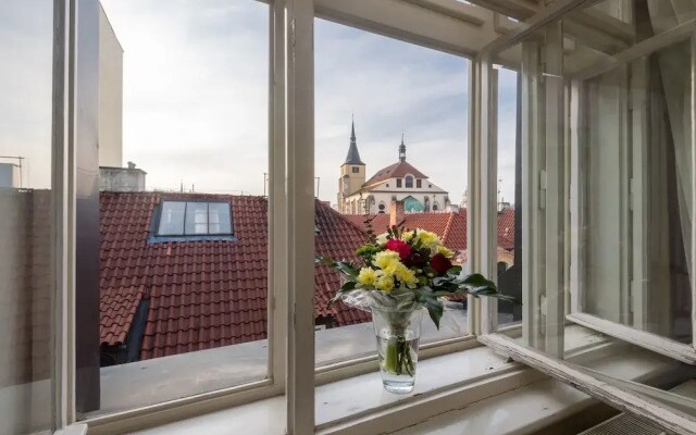 Castle View Spacious Apartment
