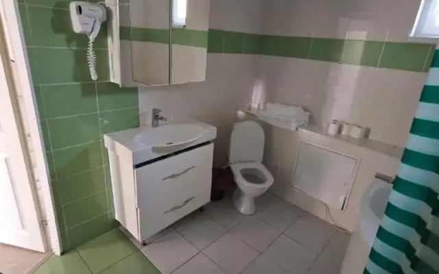 Большой коттедж на Хабаровской