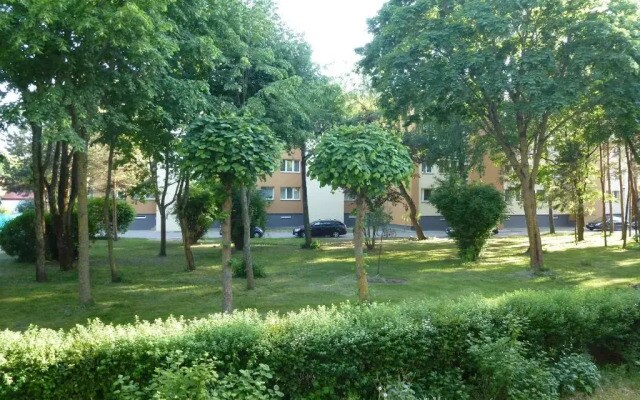 Studio Apartment "Balta"