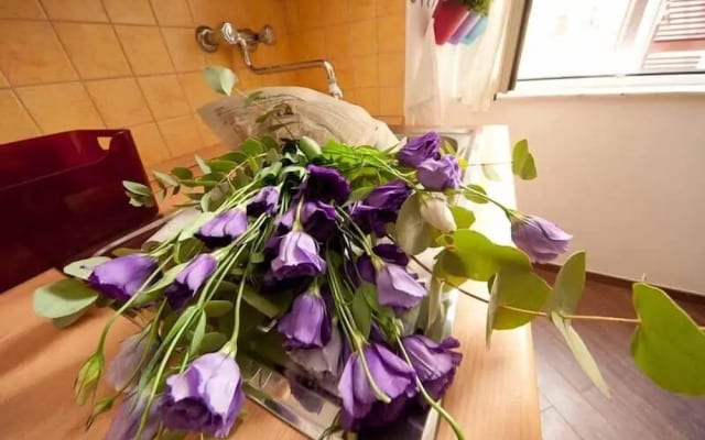 Comfortable Apartment Very Close to the Vatican Free Wifi No123