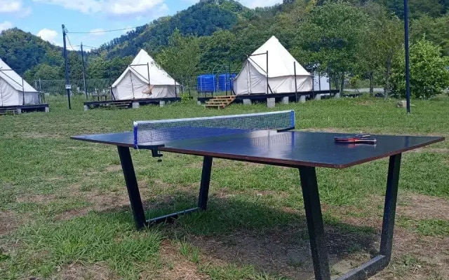 Сад чудес