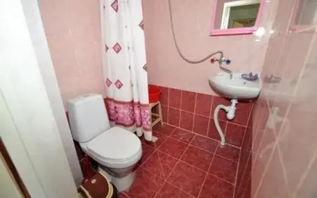 Romanovikh Viktoriya Guest House