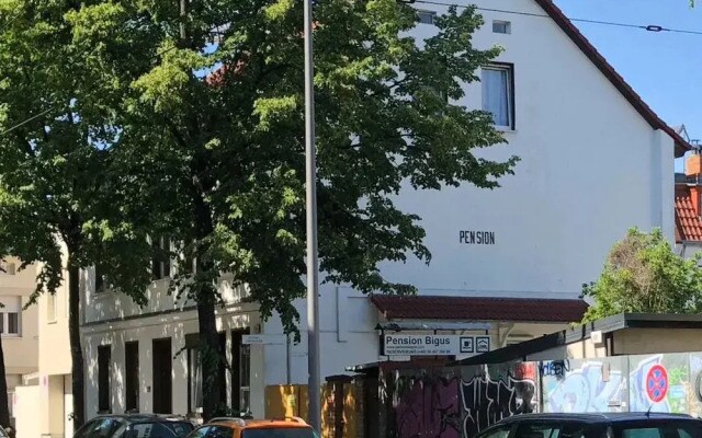 Santa Dolores