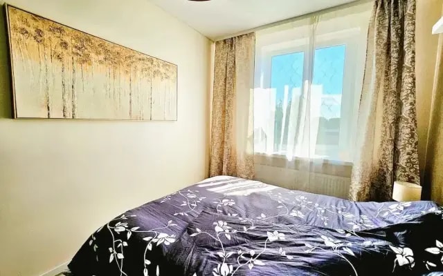 Cofy Rentals Tartu