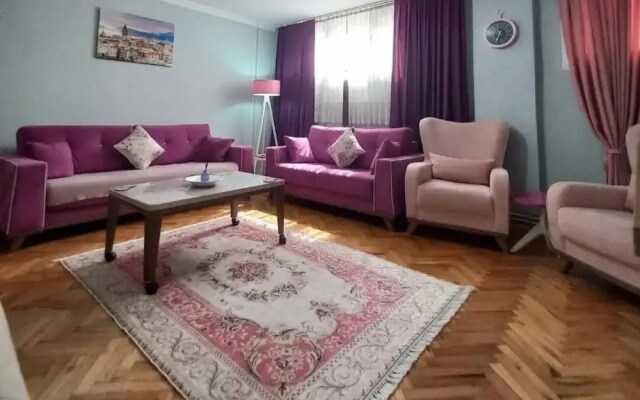 Grand Appartement 2-1