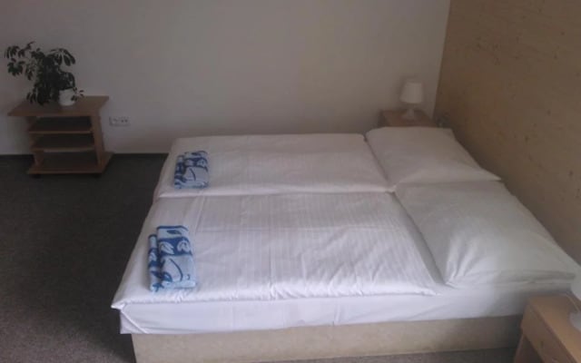 Penzion Vltavanka