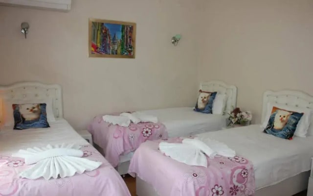 Yasar Apartment