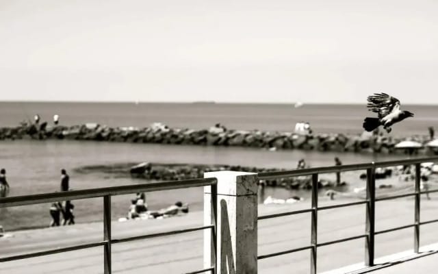 Open Space On The Sea Of Rome !:)