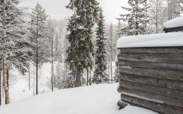 Salmikangas f1 Kuusamo