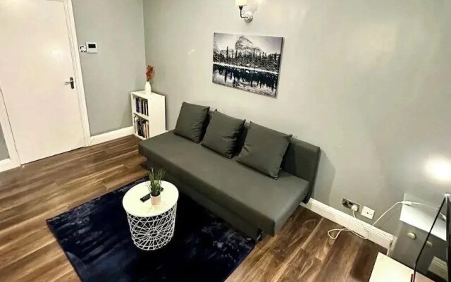 Cosy Flat Near Kings Cross