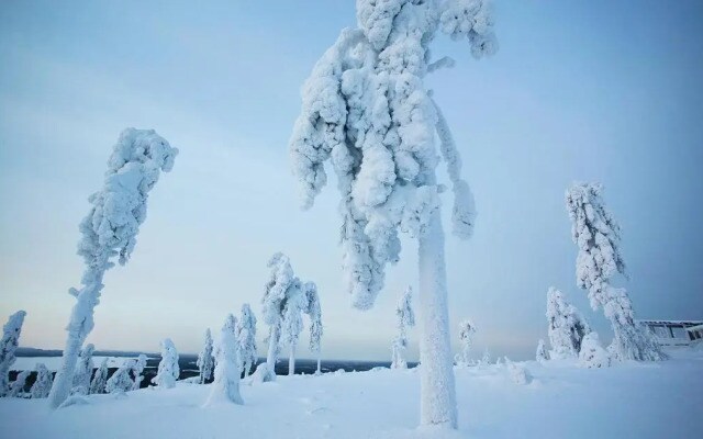 Arctic Giant