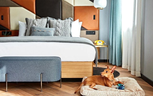 Kimpton Vividora Hotel by IHG