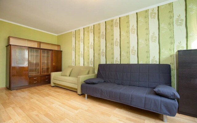 Brusnika Apartment Vykhino