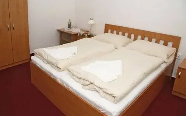 Hotel Allvet