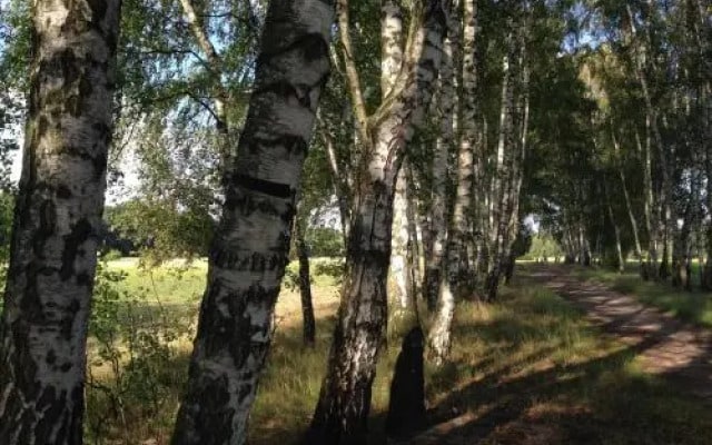 Apartament Kabaty