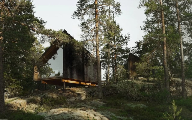 Hilltop Forest