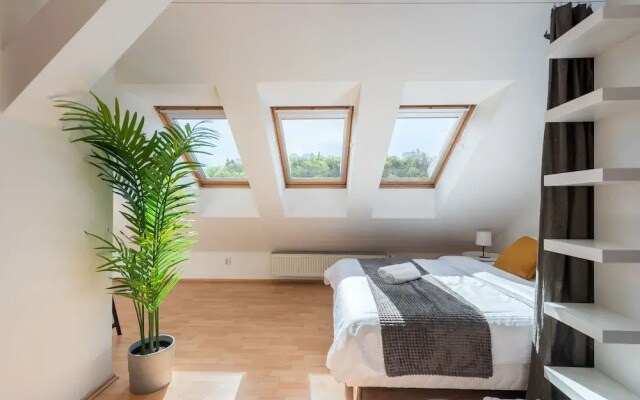 Modern apartment on Graficka