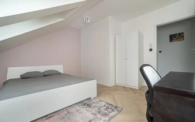 Big 4-bedroom flat, terrace with great Vítkov view