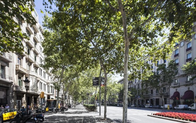 Milton House Gran Vía