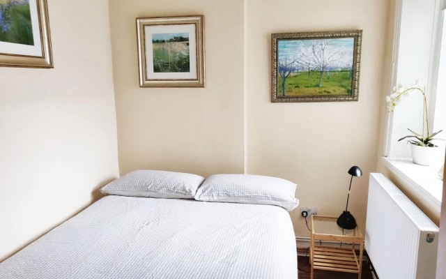 Comfortable Apartment in Central London