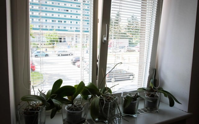 Apartment Poruba *Free Wifi*