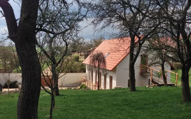 U Mišpule