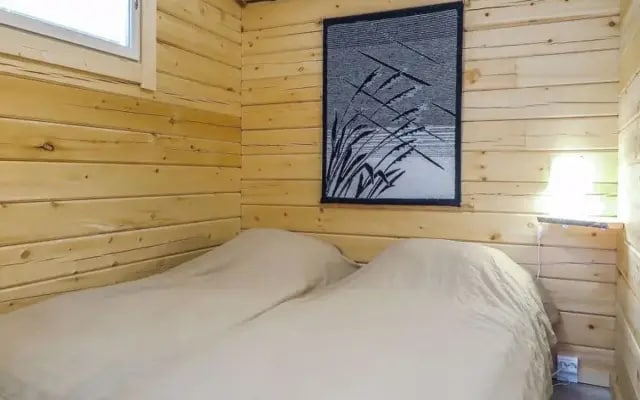 Poromies b