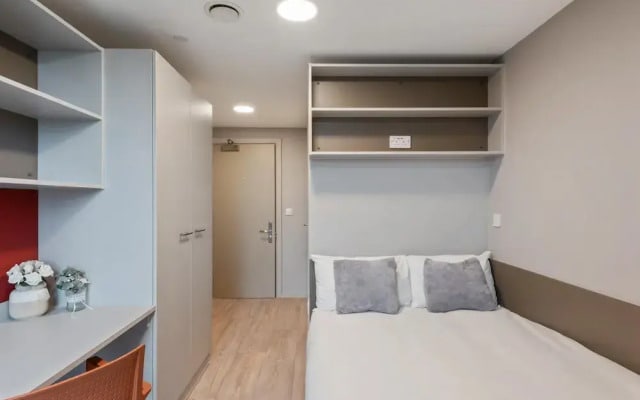 Central Modern 6BR APT With Fast Wifi Sleeps 6