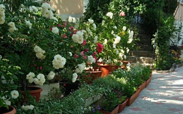 Лукоморье (Алупка)