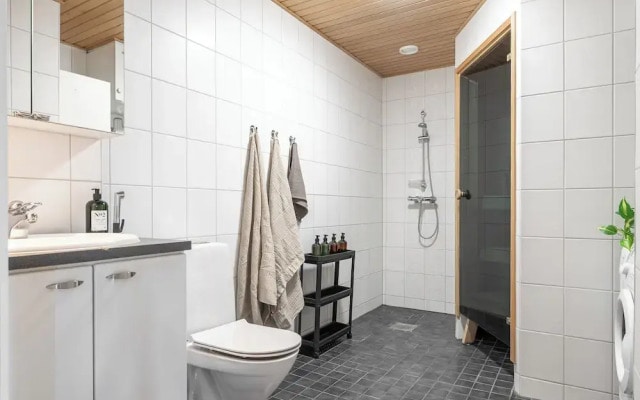 Homelike 1BR Apt. with Sauna & Parking
