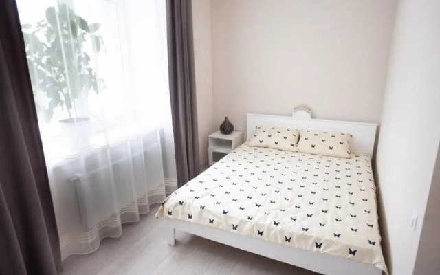 Centra apartamenti Elīza