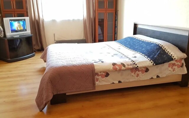DeLuxe Apartment Starobitsevskaya