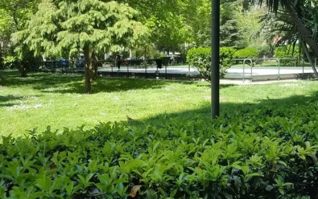 Stanza sempre verde