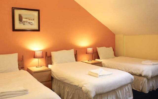 Antigallican - Campus Accommodation