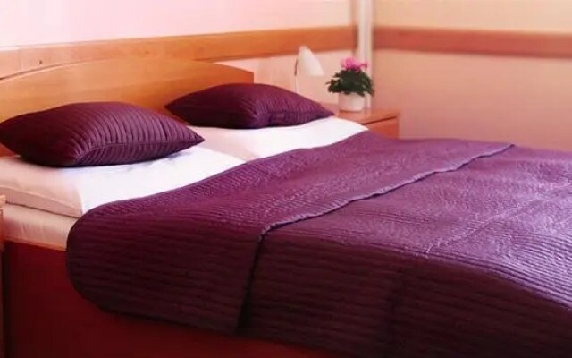 Hotel Hejtman
