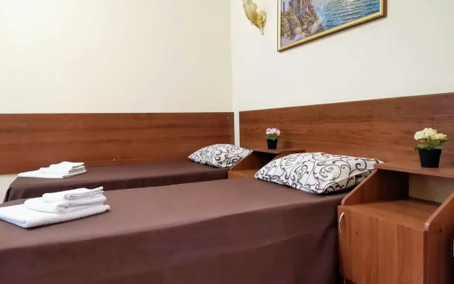 Ракушка Анапа