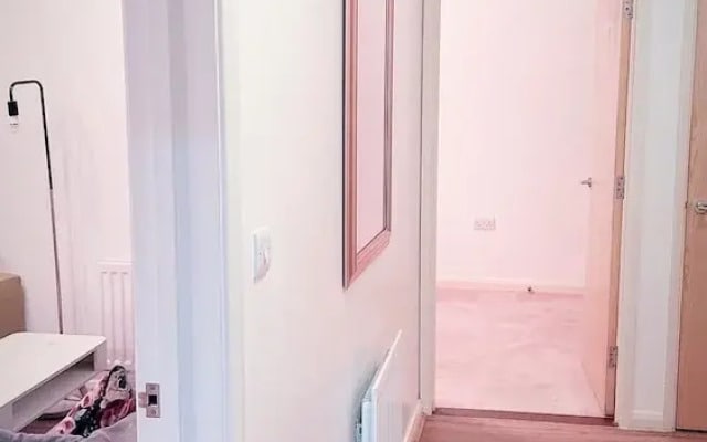 Battersea Chelsea Bridge Apartment