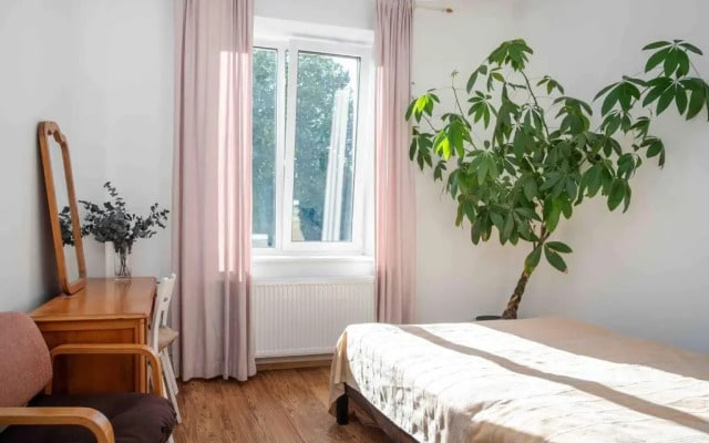 Charming apartment in the city center