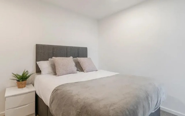 Sunny and Spacious 2BR Apartment