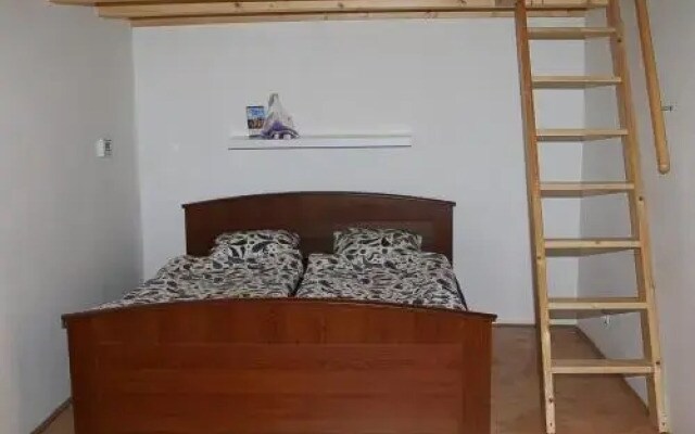 Penthouse Apartment in Vinohrady