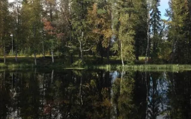 Villa Kuukkeli