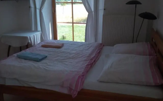 Dvůr v Borovné