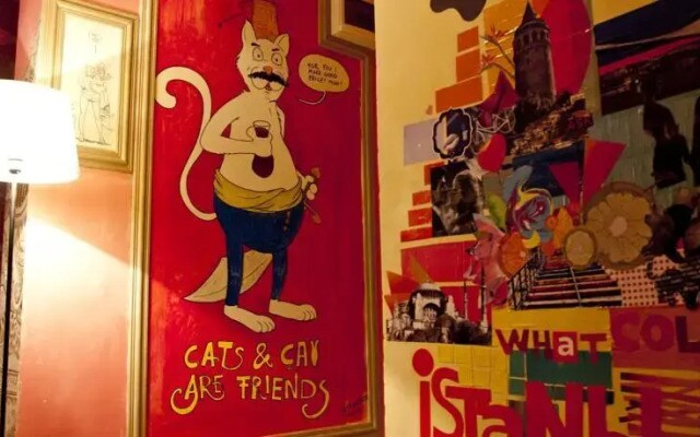 Stray Cat Hostel
