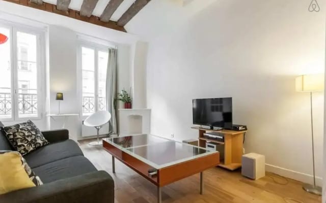 Wonderful Apartment - Central Paris