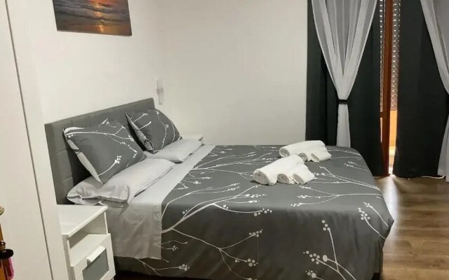 B&B Airportandgo