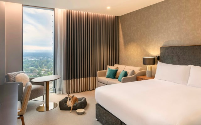 Hilton Woking
