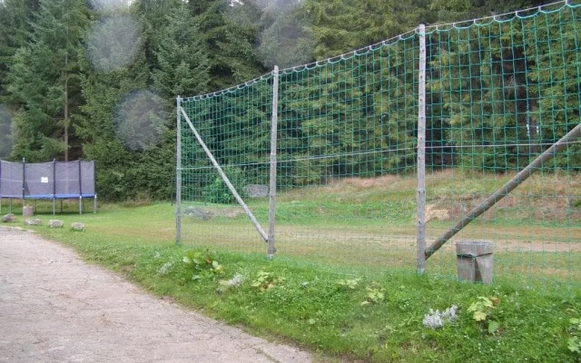 Penzion Borovice